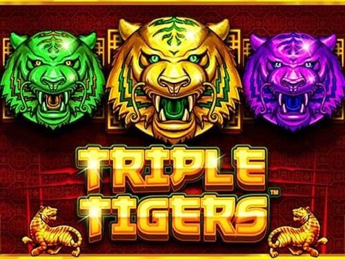 Triple Tigers
